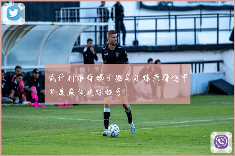 武什科维奇蝎子摆尾进球荣膺德甲年度最佳进球称号